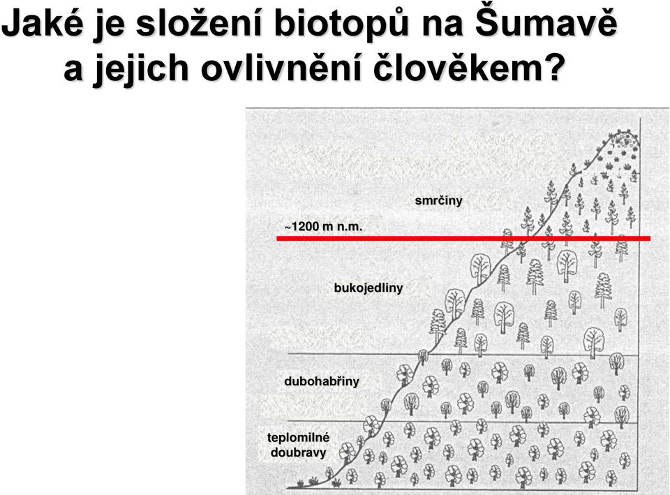 člověkem?