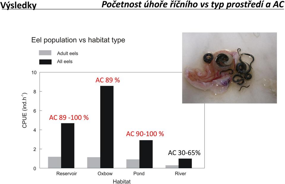 prostředí a AC AC 89 %