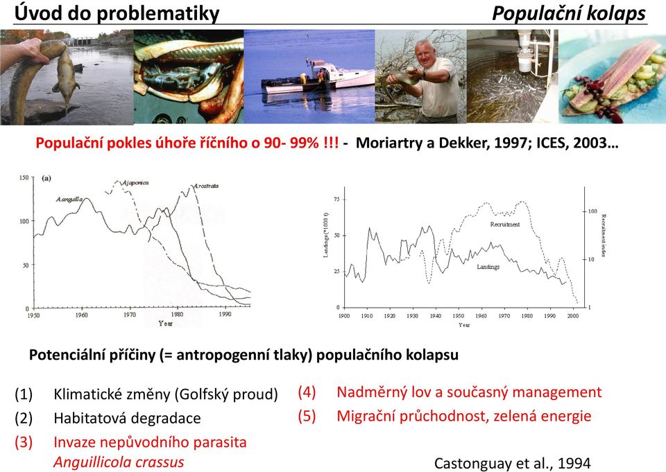 kolapsu (1) Klimatické změny (Golfský proud) (2) Habitatová degradace (3) Invaze nepůvodního