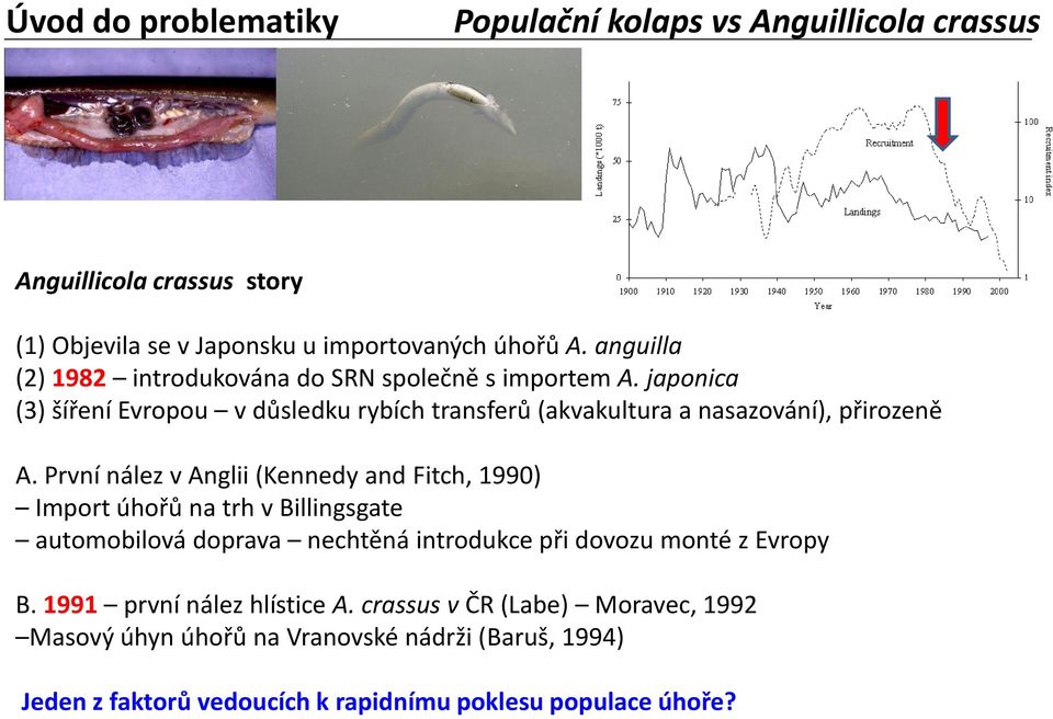 japonica (3) šíření Evropou v důsledku rybích transferů (akvakultura a nasazování), přirozeně A.