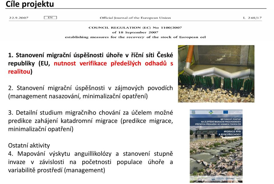 Stanovení migrační úspěšnosti v zájmových povodích (management nasazování, minimalizační opatření) 3.