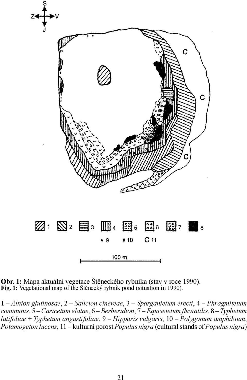 1 Alnion glutinosae, 2 Salicion cinereae, 3 Sparganietum erecti, 4 Phragmitetum communis, 5 Caricetum elatae, 6