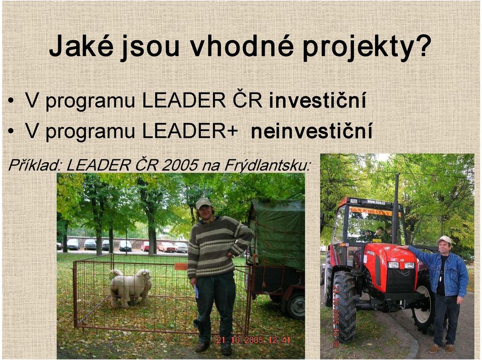 V programu LEADER+ neinvestiční