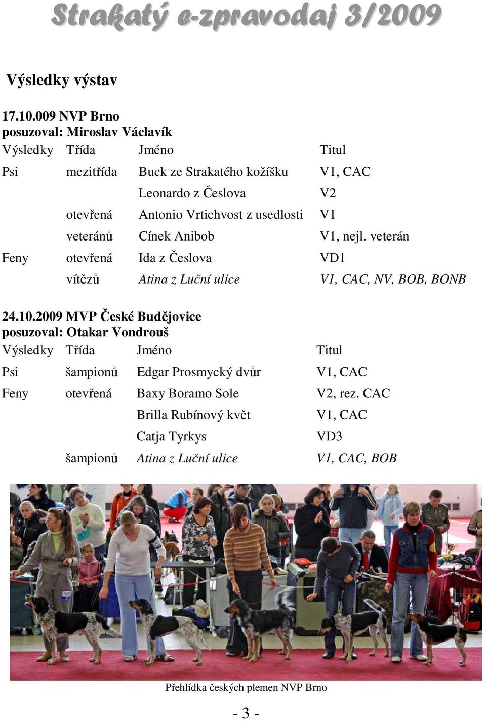 Vrtichvost z usedlosti V1 veteránů Cínek Anibob V1, nejl. veterán Feny otevřená Ida z Česlova VD1 vítězů Atina z Luční ulice V1, CAC, NV, BOB, BONB 24.10.