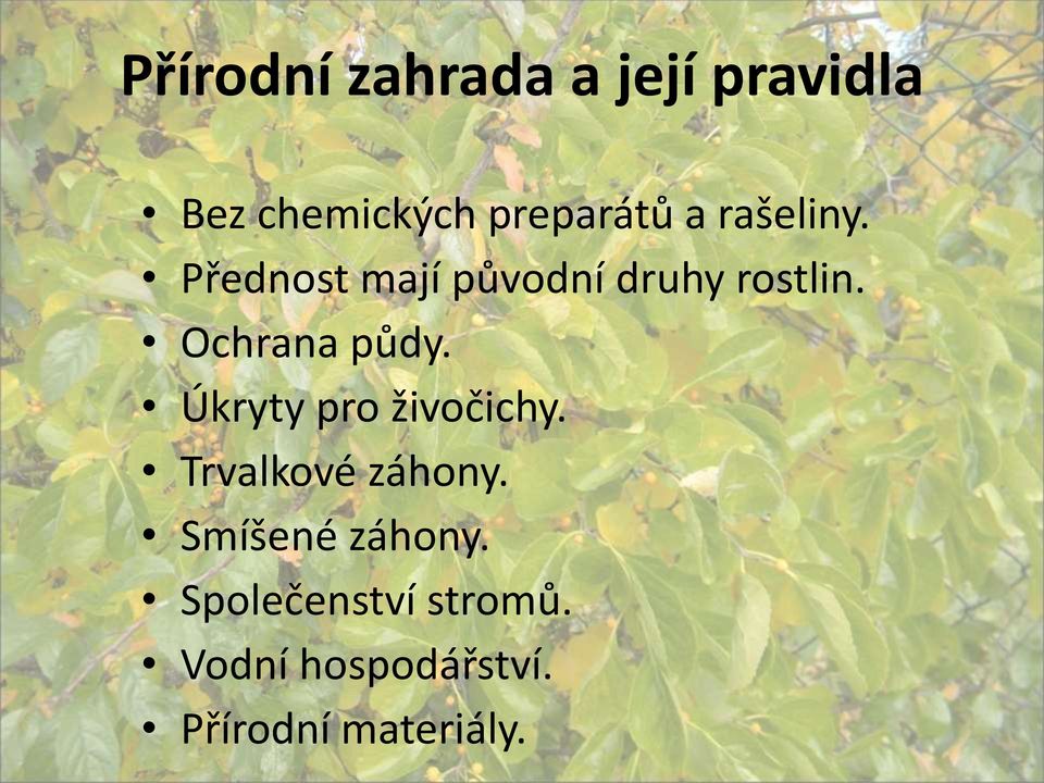 Úkryty pro živočichy. Trvalkové záhony. Smíšené záhony.