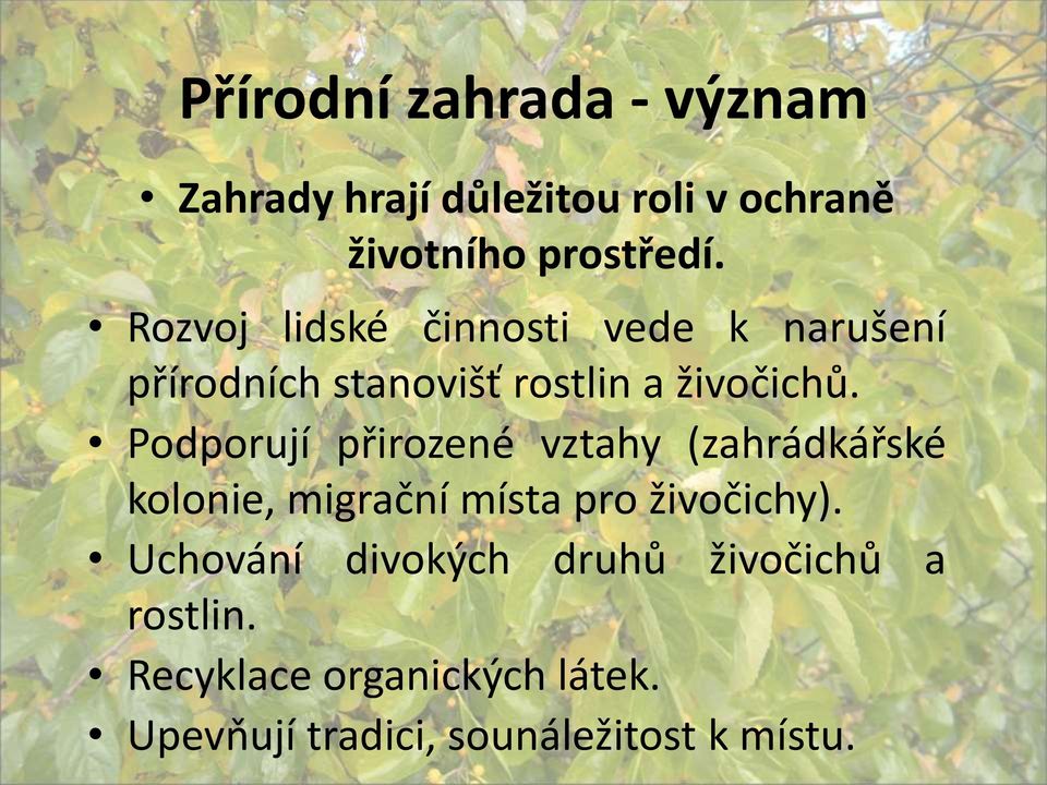 Podporují přirozené vztahy (zahrádkářské kolonie, migrační místa pro živočichy).