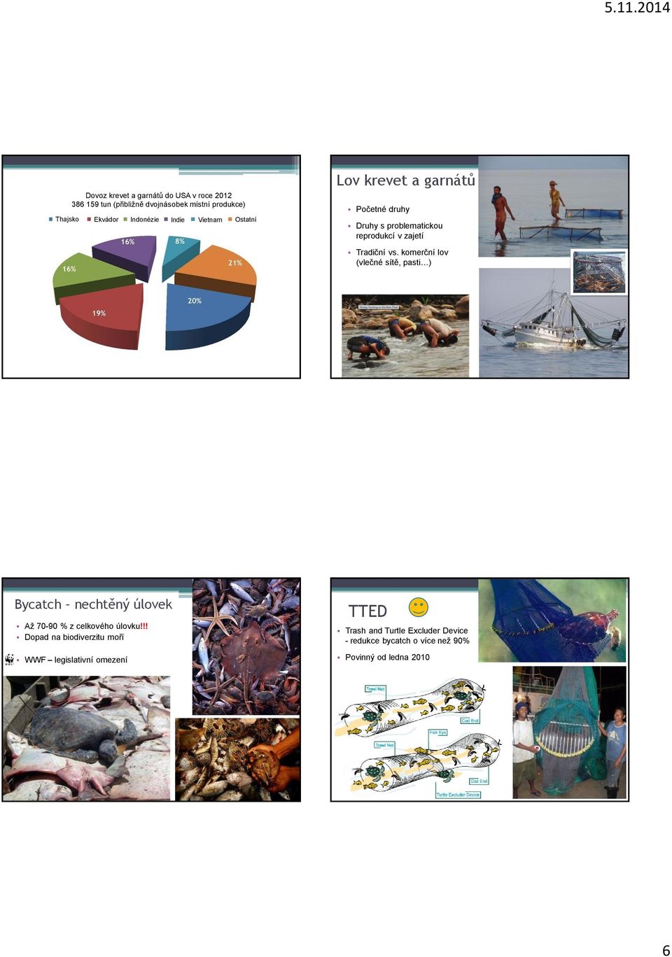 Tradiční vs. komerční lov (vlečné sítě, pasti ) Bycatch nechtěný úlovek Až 70-90 % z celkového úlovku!