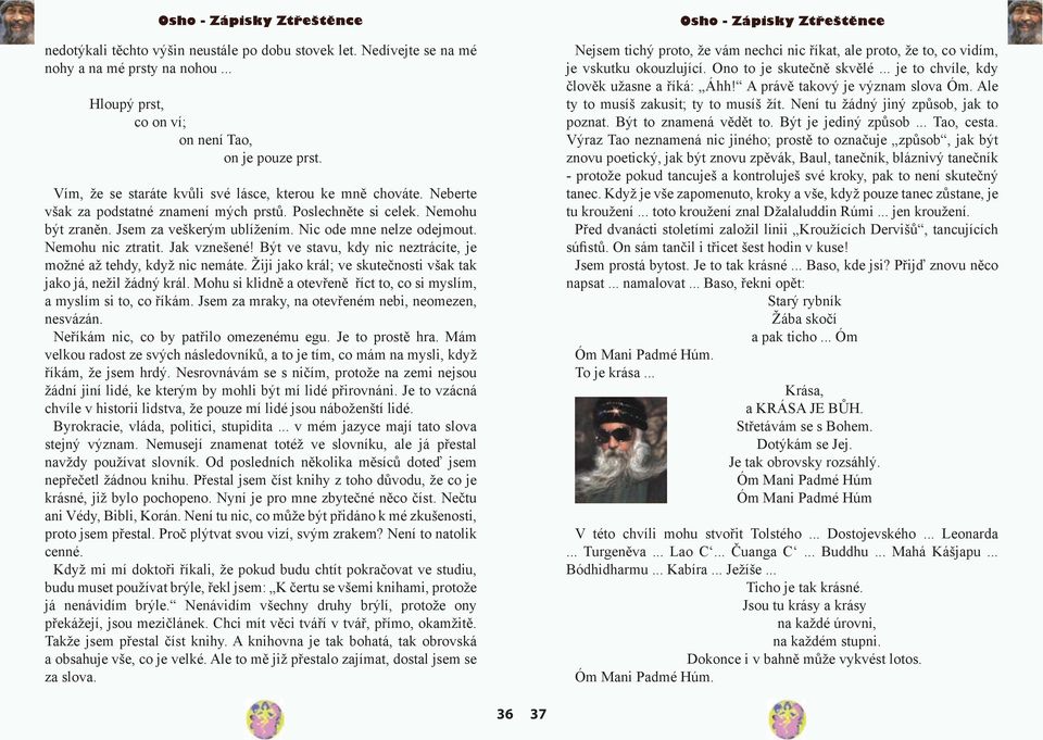 Nic ode mne nelze odejmout. Nemohu nic ztratit. Jak vznešené! Být ve stavu, kdy nic neztrácíte, je možné až tehdy, když nic nemáte. Žiji jako král; ve skutečnosti však tak jako já, nežil žádný král.