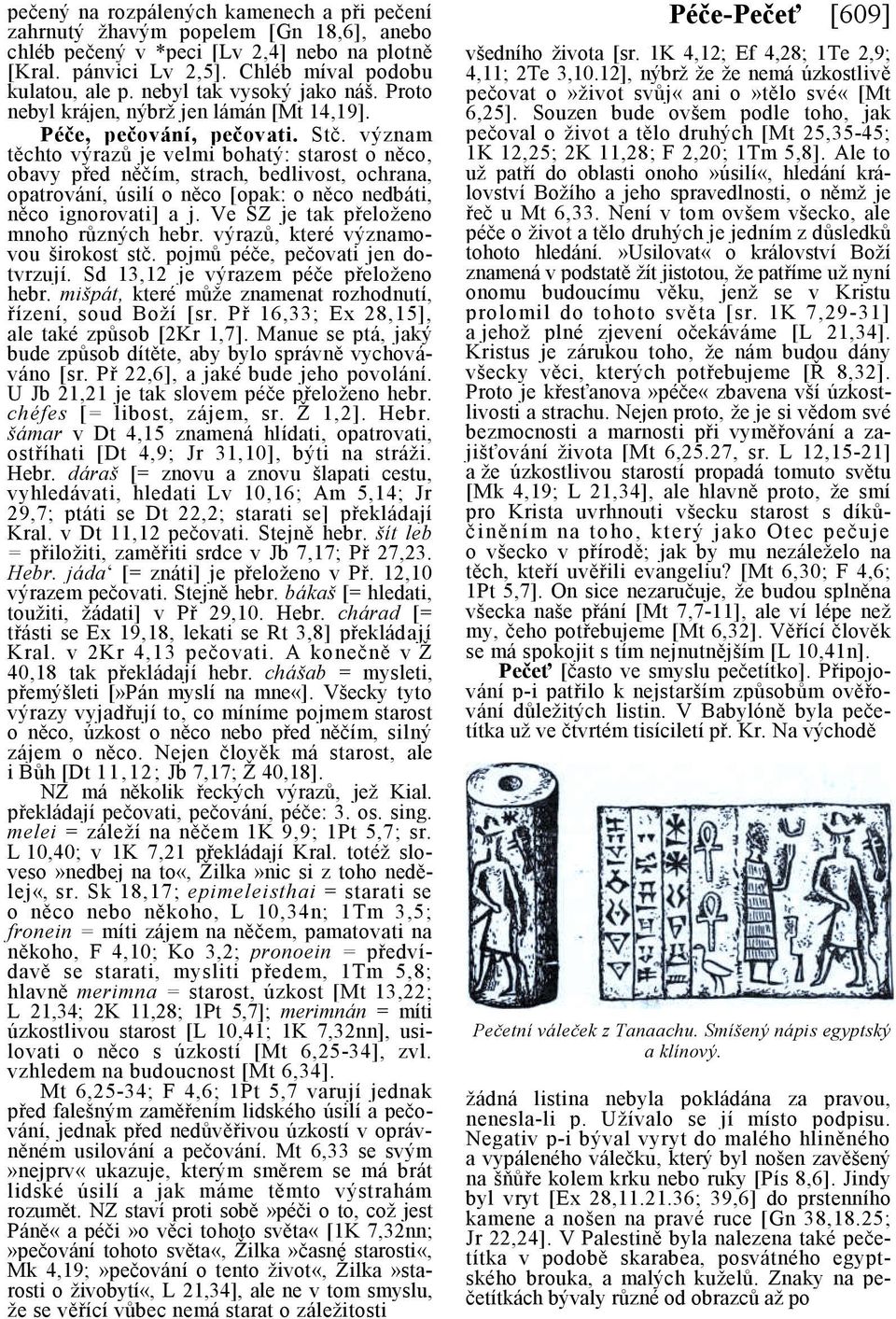 význam těchto výrazů je velmi bohatý: starost o něco, obavy před něčím, strach, bedlivost, ochrana, opatrování, úsilí o něco [opak: o něco nedbáti, něco ignorovati] a j.