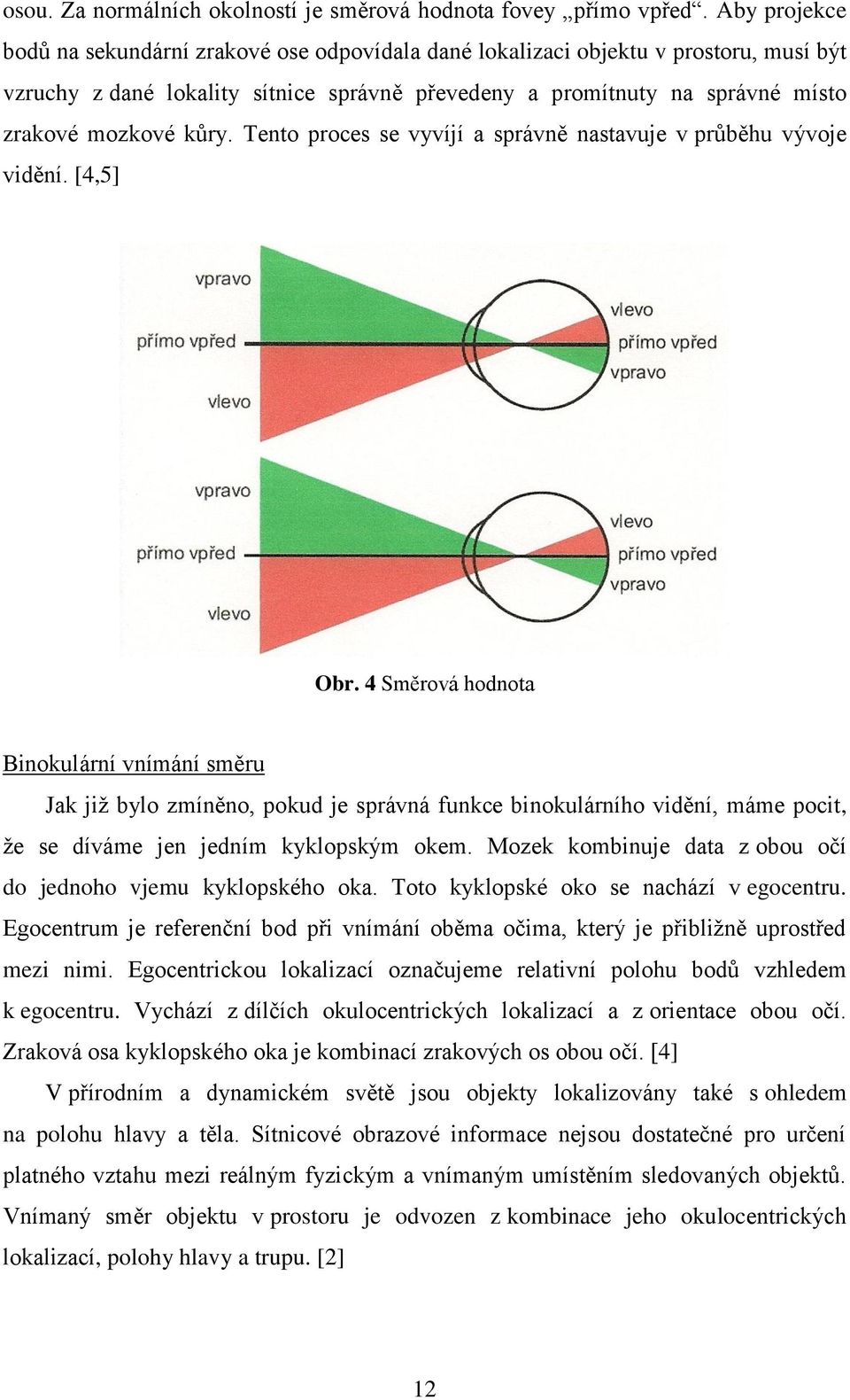 kůry. Tento proces se vyvíjí a správně nastavuje v průběhu vývoje vidění. [4,5] Obr.