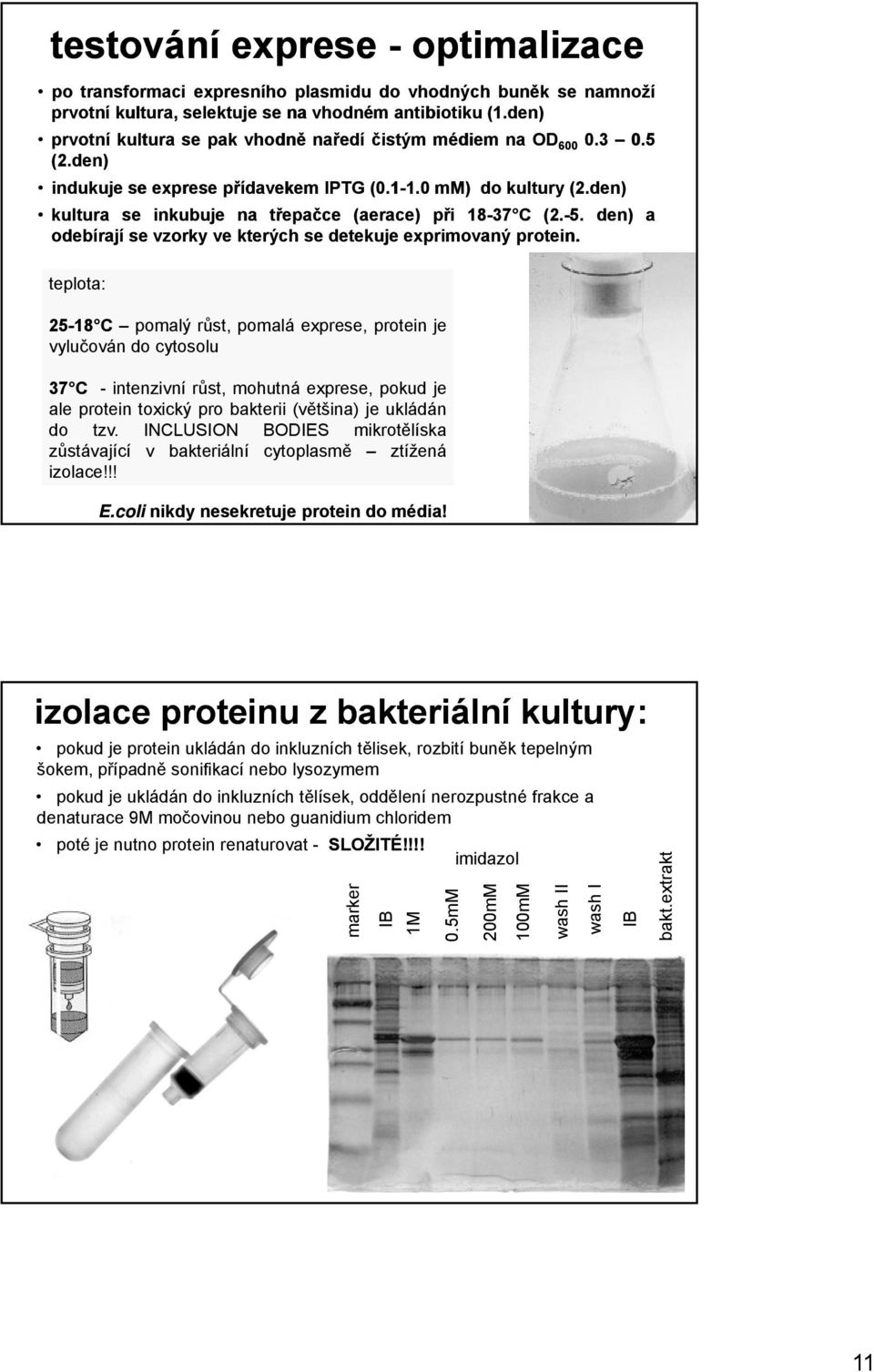 den) kultura se inkubuje na třepačce (aerace) při 18-37 37 C (2.-5. den) a odebírají se vzorky ve kterých se detekuje exprimovaný protein.