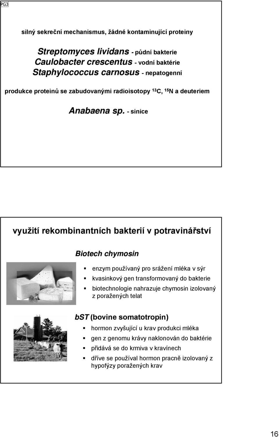 - sinice 13 C, 15 15 N a deuteriem využití rekombinantních bakterií v potravinářství Biotech chymosin enzym používaný pro srážení mléka v sýr kvasinkový gen transformovaný do