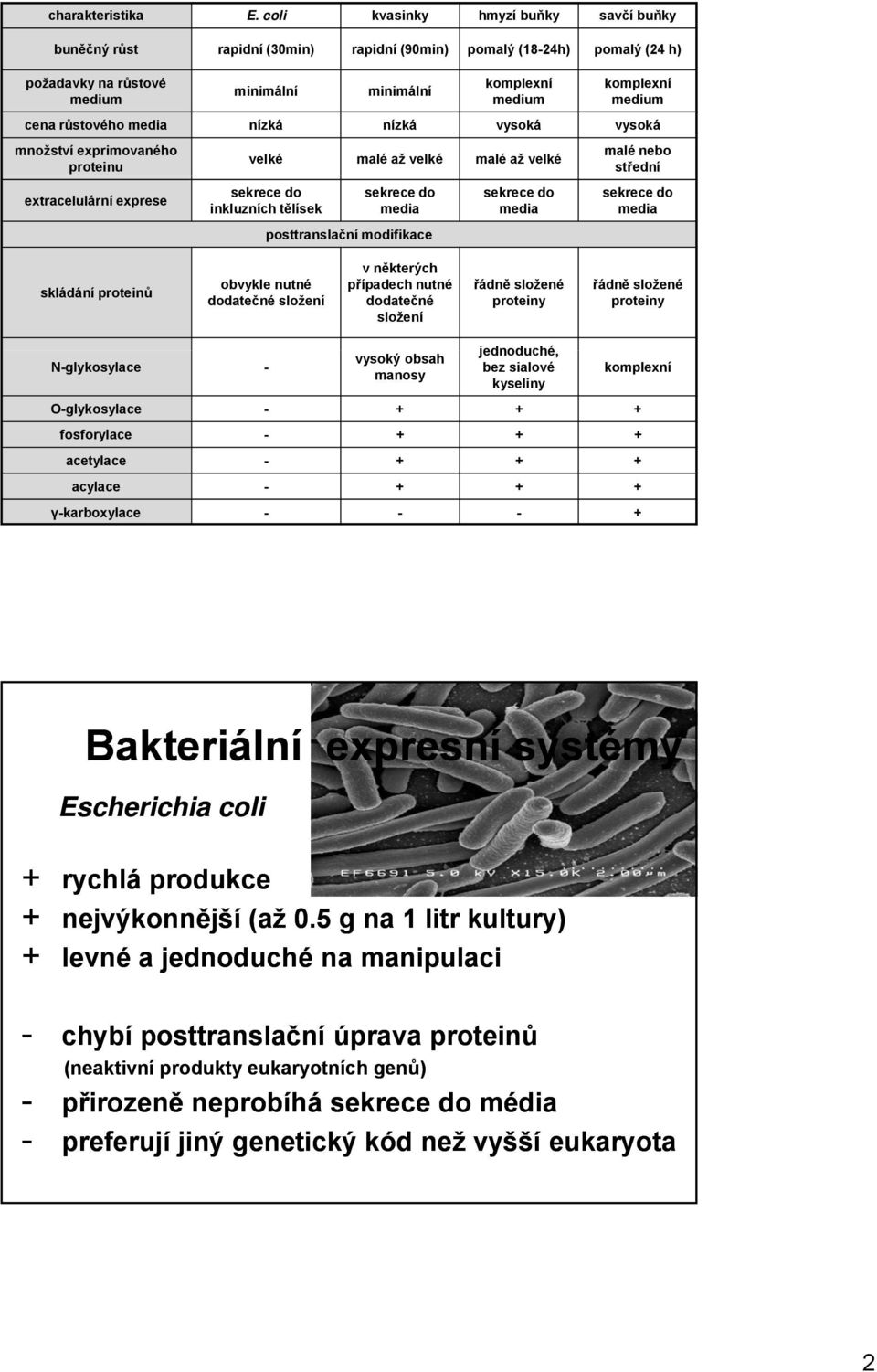 růstového media nízká nízká vysoká vysoká množství exprimovaného proteinu extracelulární exprese velké malé až velké malé až velké sekrece do inkluzních tělísek sekrece do media posttranslační