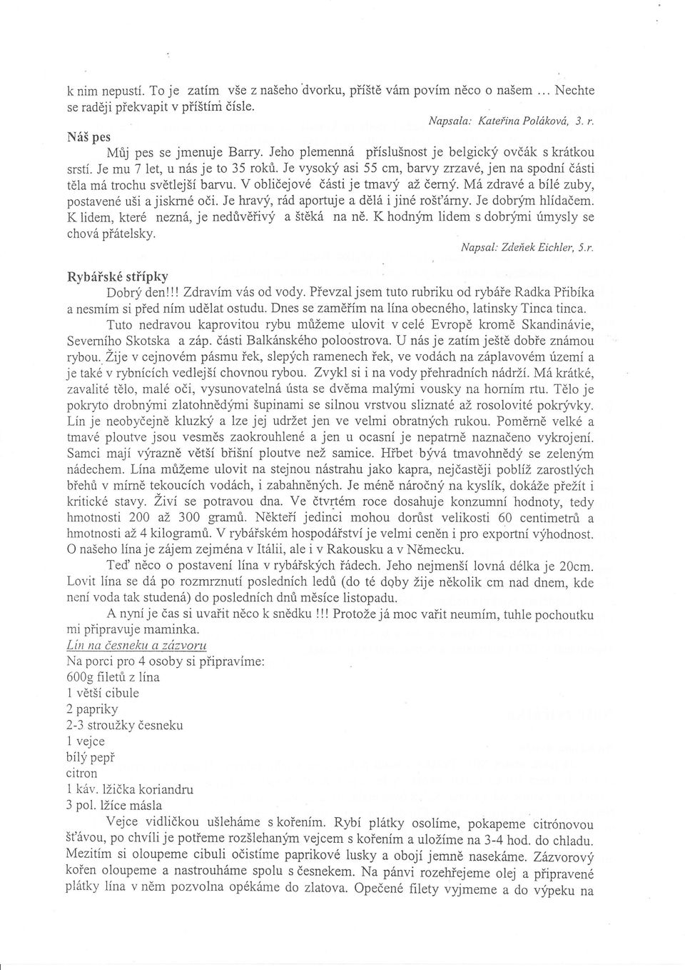 V obličejové části je trnavý až černý. Má zdravé abilé zuby, postavené uši a jiskrné oči. Je hravý, rád aportuje a dělá i jiné rošt'árny.