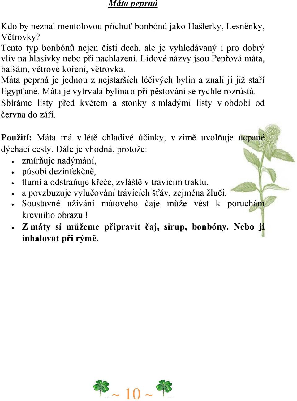 Máta je vytrvalá bylina a při pěstování se rychle rozrůstá. Sbíráme listy před květem a stonky s mladými listy v období od června do září.