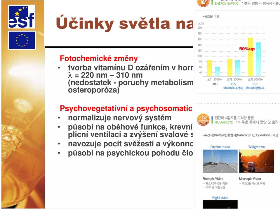 psychosomatické vlivy normalizuje nervový systém působí na oběhové funkce, krevní tlak, srdeční