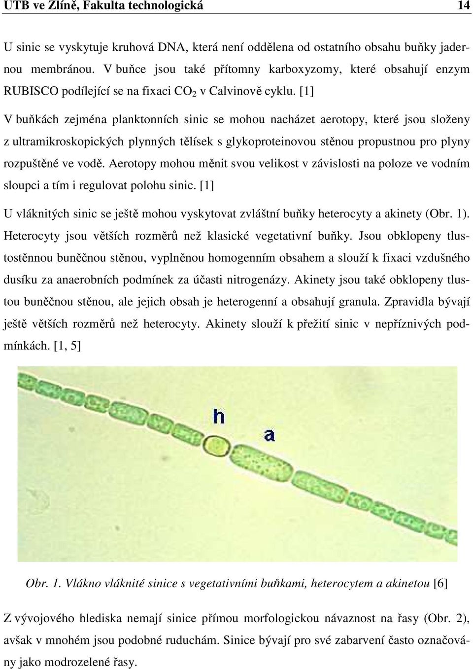 [1] V buňkách zejména planktonních sinic se mohou nacházet aerotopy, které jsou složeny z ultramikroskopických plynných tělísek s glykoproteinovou stěnou propustnou pro plyny rozpuštěné ve vodě.