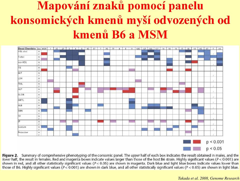 odvozených od kmenů B6 a MSM