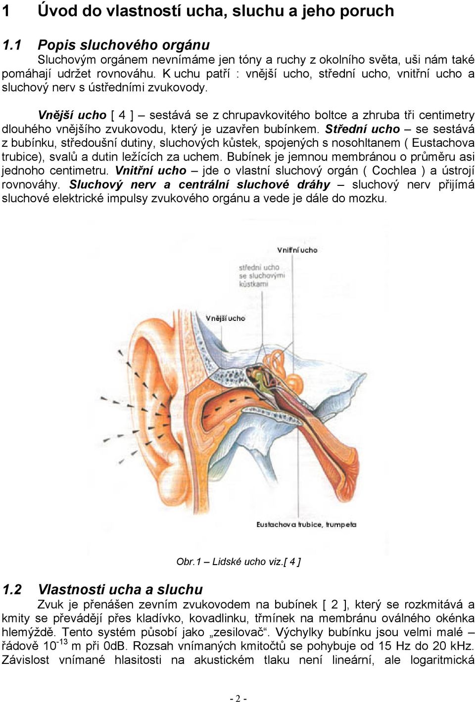 Vnější ucho [ 4 ] sestává se z chrupavkovitého boltce a zhruba tři centimetry dlouhého vnějšího zvukovodu, který je uzavřen bubínkem.