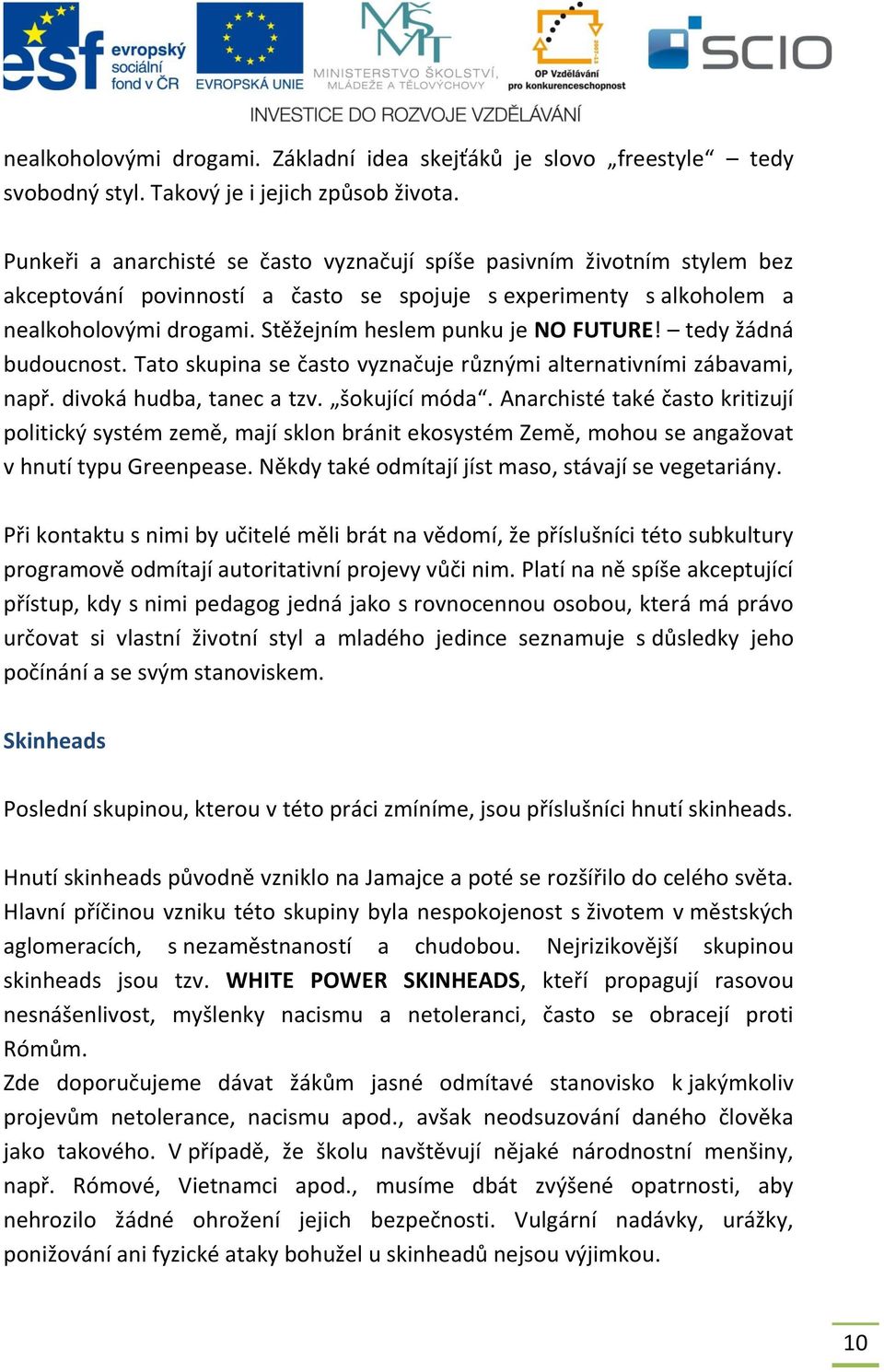 Stěžejním heslem punku je NO FUTURE! tedy žádná budoucnost. Tato skupina se často vyznačuje různými alternativními zábavami, např. divoká hudba, tanec a tzv. šokující móda.