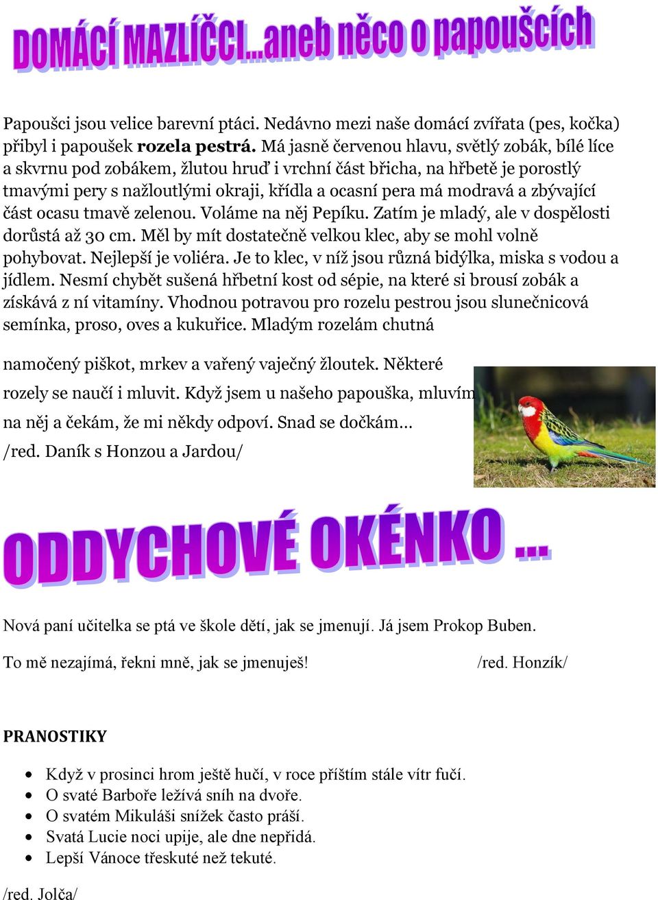 zbývající část ocasu tmavě zelenou. Voláme na něj Pepíku. Zatím je mladý, ale v dospělosti dorůstá až 30 cm. Měl by mít dostatečně velkou klec, aby se mohl volně pohybovat. Nejlepší je voliéra.