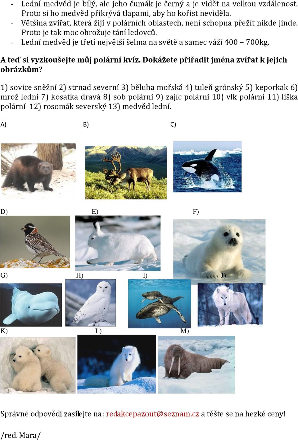 - Lední medvěd je třetí největší šelma na světě a samec váží 400 700kg. A teď si vyzkoušejte můj polární kvíz. Dokážete přiřadit jména zvířat k jejich obrázkům?