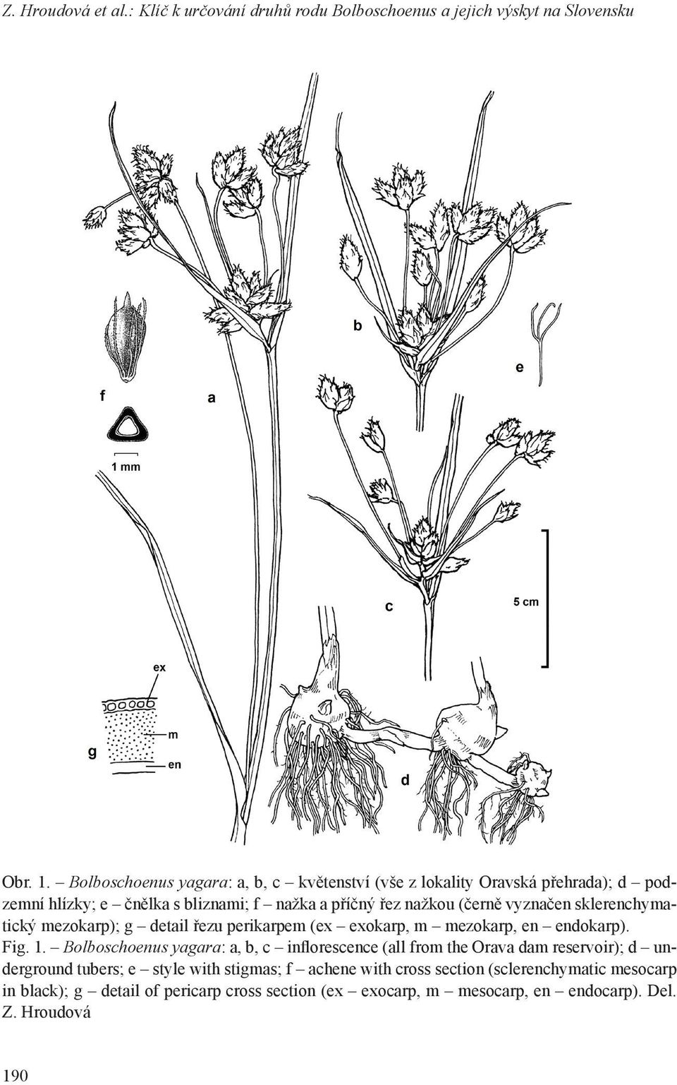 buy clomid canada