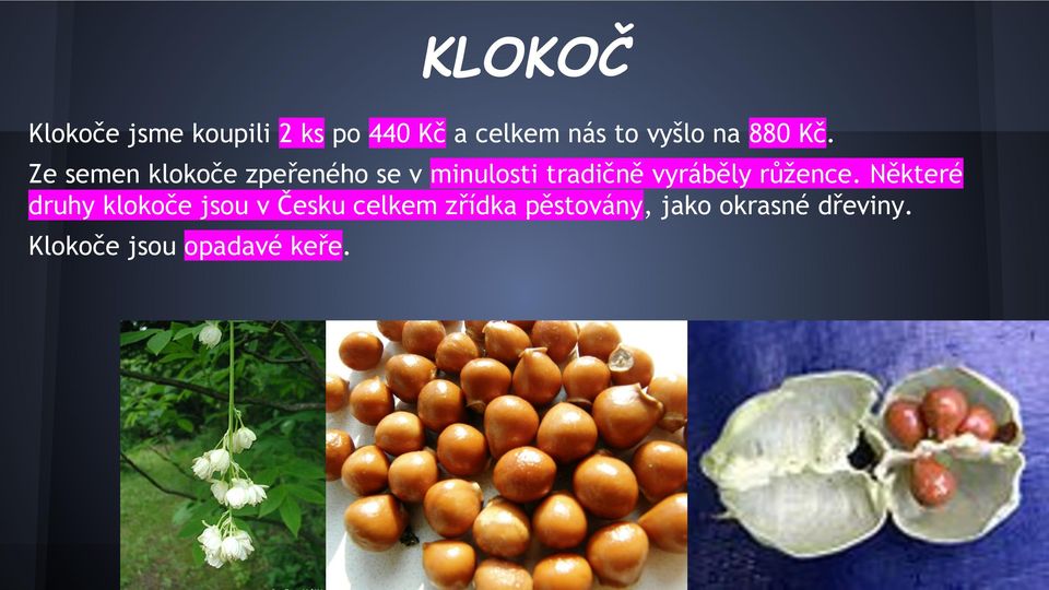 Ze semen klokoče zpeřeného se v minulosti tradičně vyráběly