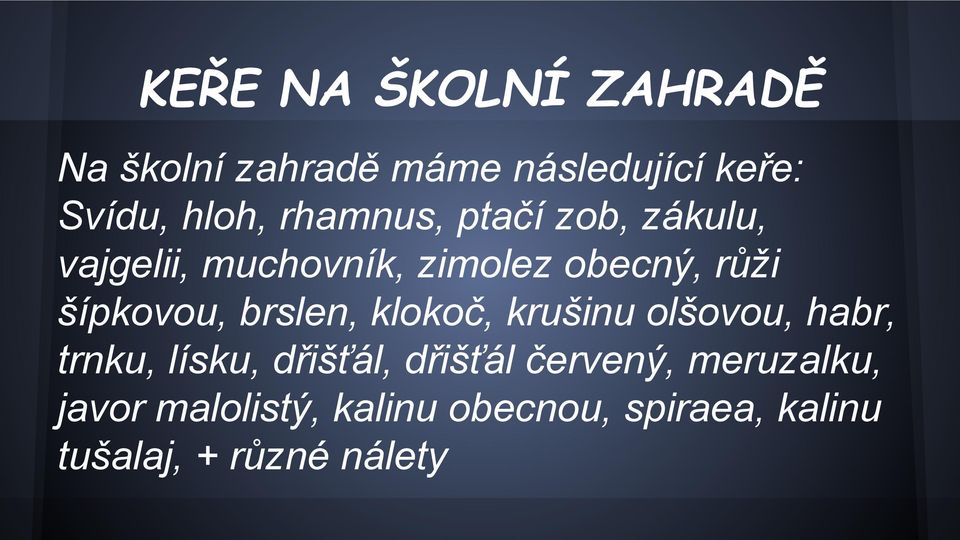 brslen, klokoč, krušinu olšovou, habr, trnku, lísku, dřišťál, dřišťál červený,