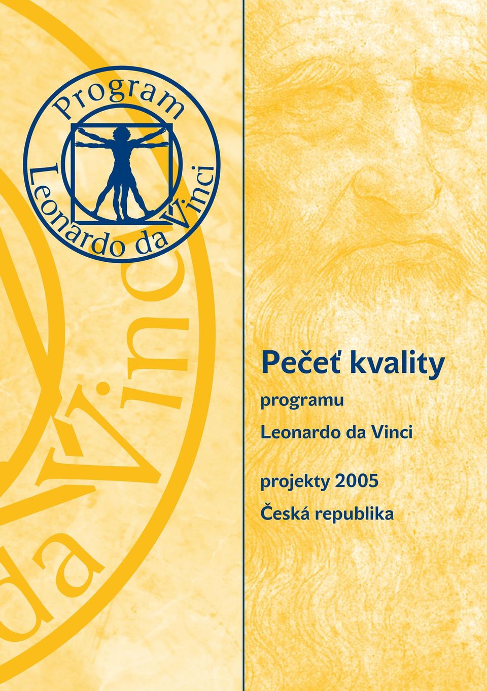 da Vinci projekty