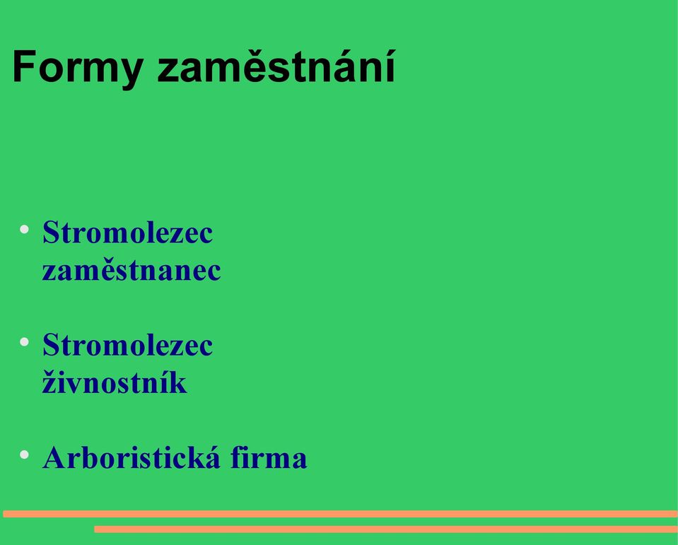 zaměstnanec 