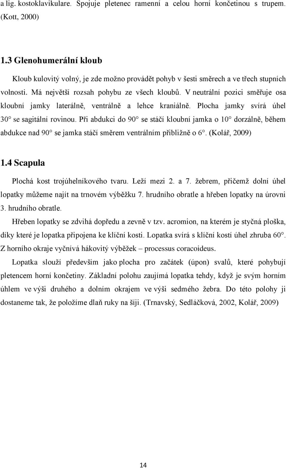 V neutrální pozici směřuje osa kloubní jamky laterálně, ventrálně a lehce kraniálně. Plocha jamky svírá úhel 30 se sagitální rovinou.