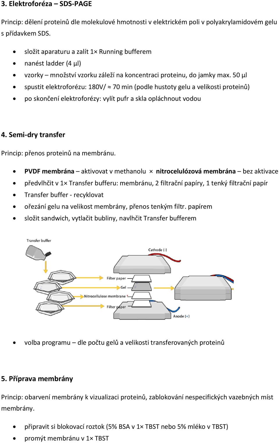 50 µl spustit elektroforézu: 180V/ 70 min (podle hustoty gelu a velikosti proteinů) po skončení elektroforézy: vylít pufr a skla opláchnout vodou 4.