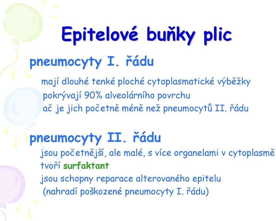 povrchu ač je jich početně méně než pneumocytů II. řádu pneumocyty II.