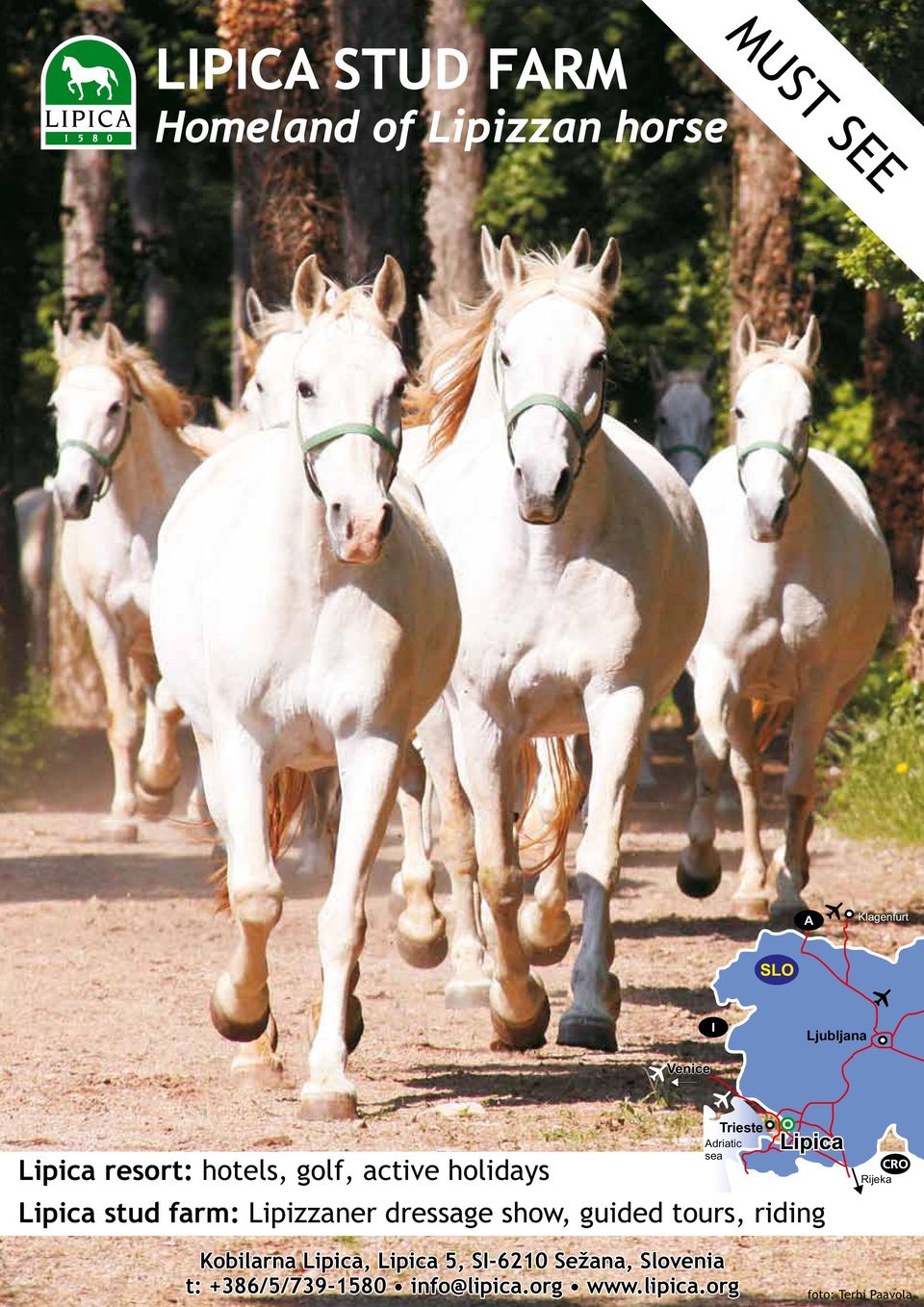 Lipizzaner dressage show, guided tours, riding Rijeka Kobilarna Lipica, Lipica 5,