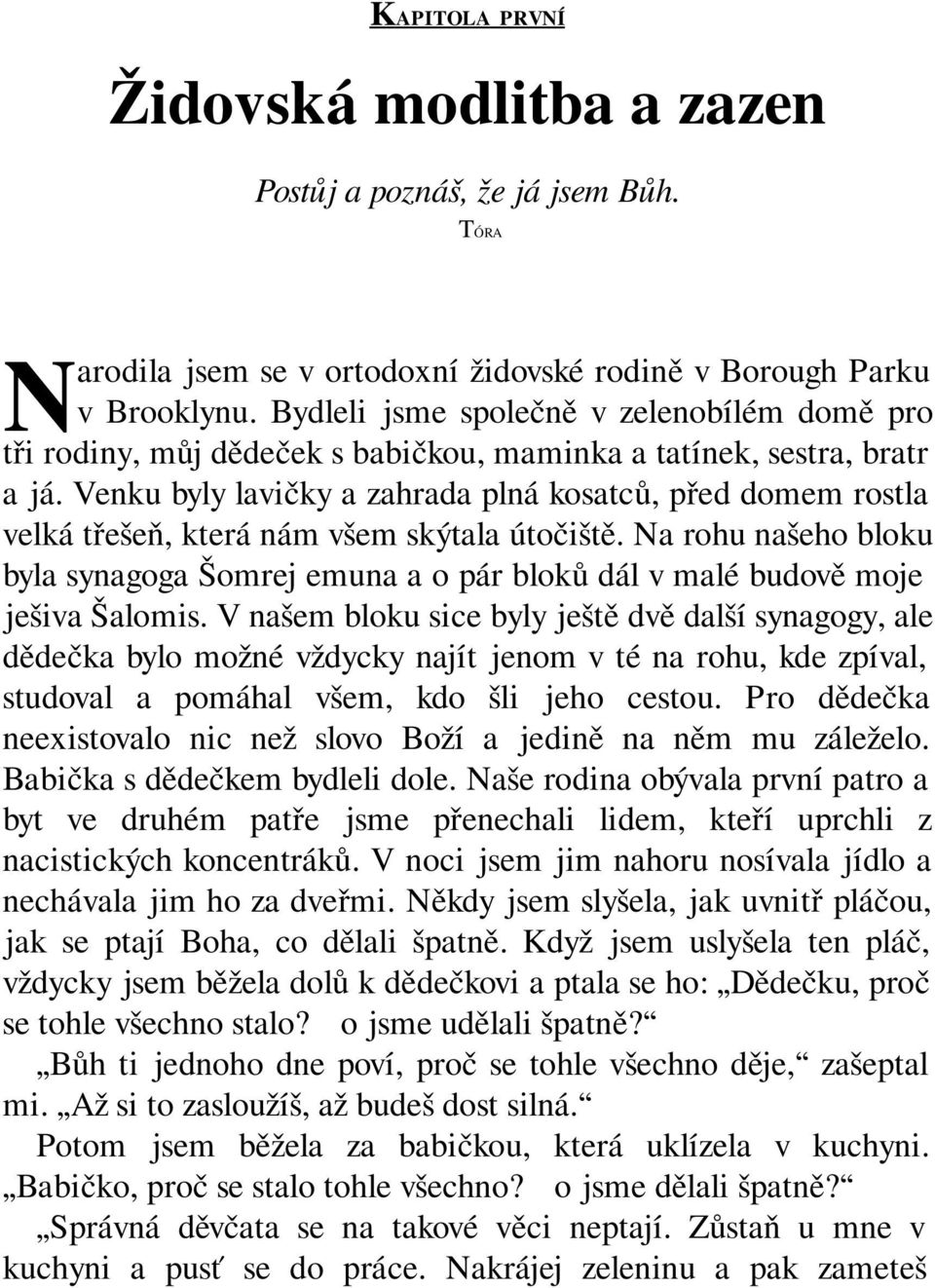 Venku byly lavičky a zahrada plná kosatců, před domem rostla velká třešeň, která nám všem skýtala útočiště.