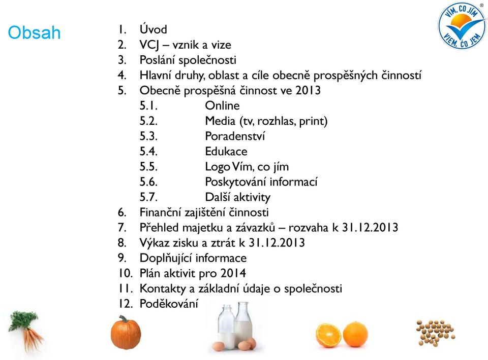 6. Poskytování informací 5.7. Další aktivity 6. Finanční zajištění činnosti 7. Přehled majetku a závazků rozvaha k 31.12.2013 8.