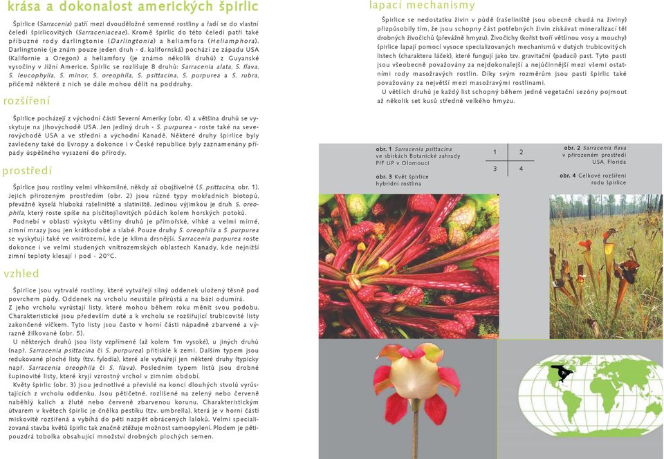 kalifornská) pochází ze západu USA (Kalifornie a Oregon) a heliamfory (je známo několik druhů) z Guyanské vysočiny v Jižní Americe. Špirlic se rozlišuje 8 druhů: Sarracenia alata, S. flava, S.