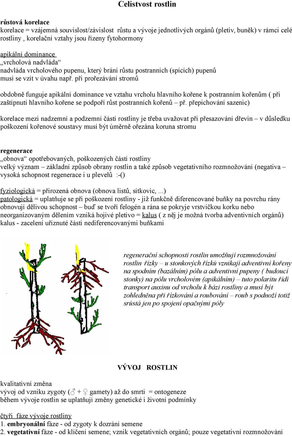 při prořezávání stromů obdobně funguje apikální dominance ve vztahu vrcholu hlavního kořene k postranním kořenům ( při zaštípnutí hlavního kořene se podpoří růst postranních kořenů př.