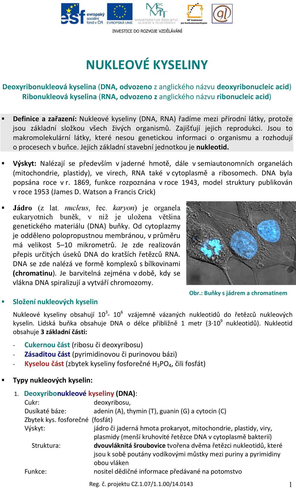 Jsou to makromolekulární látky, které nesou genetickou informaci o organismu a rozhodují o procesech v buňce. Jejich základní stavební jednotkou je nukleotid.