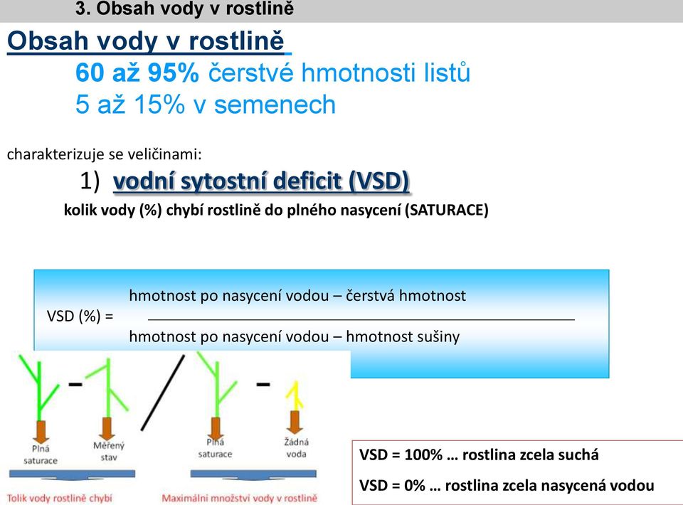 rostlině do plného nasycení (SATURACE) VSD (%) = hmotnost po nasycení vodou čerstvá hmotnost