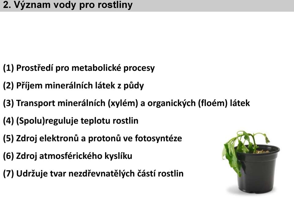 látek (4) (Spolu)reguluje teplotu rostlin (5) Zdroj elektronů a protonů ve