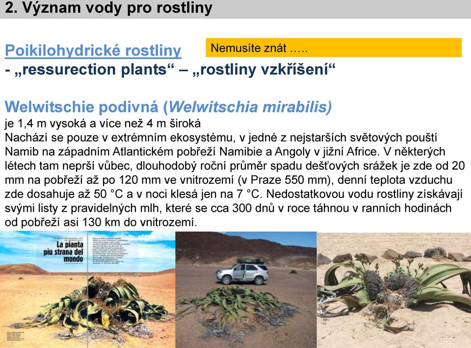 nejstarších světových pouští Namib na západním Atlantickém pobřeží Namibie a Angoly v jižní Africe.