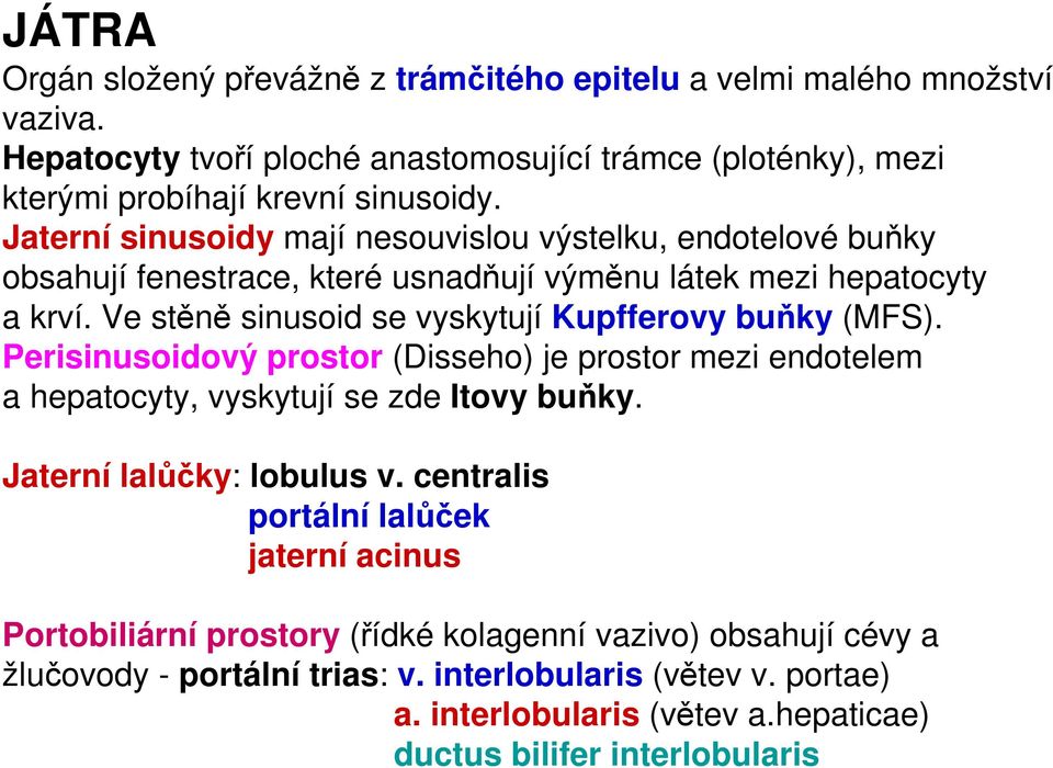 Ve stěně sinusoid se vyskytují Kupfferovy buňky (MFS). Perisinusoidový prostor (Disseho) je prostor mezi endotelem a hepatocyty, vyskytují se zde Itovy buňky. Jaterní lalůčky: lobulus v.