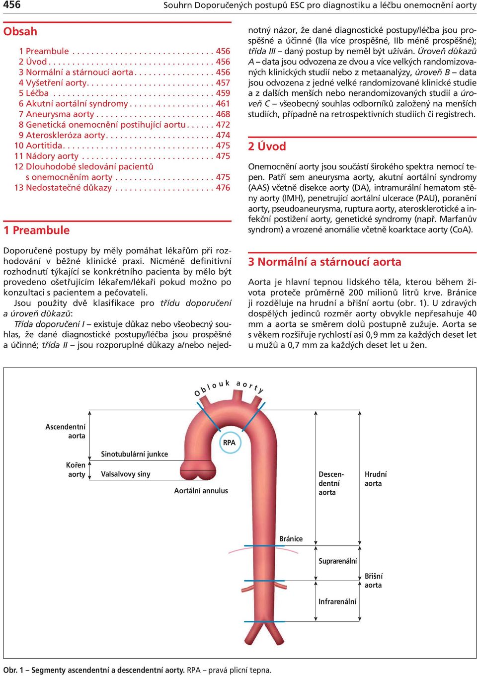 ........................ 468 8 Genetická onemocnění postihující ortu...... 472 9 Ateroskleróz orty....................... 474 10 Aortitid................................ 475 11 Nádory orty.