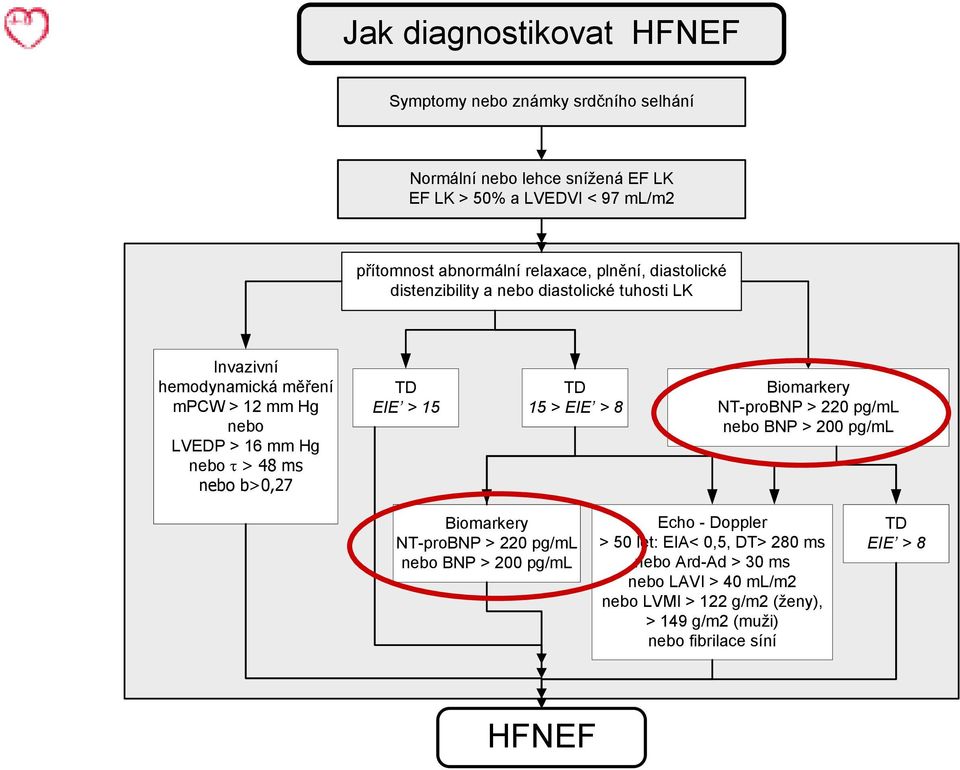nebo b>0,27 TD EIE > 15 TD 15 > EIE > 8 Biomarkery NT-proBNP > 220 pg/ml nebo BNP > 200 pg/ml Biomarkery NT-proBNP > 220 pg/ml nebo BNP > 200 pg/ml Echo -