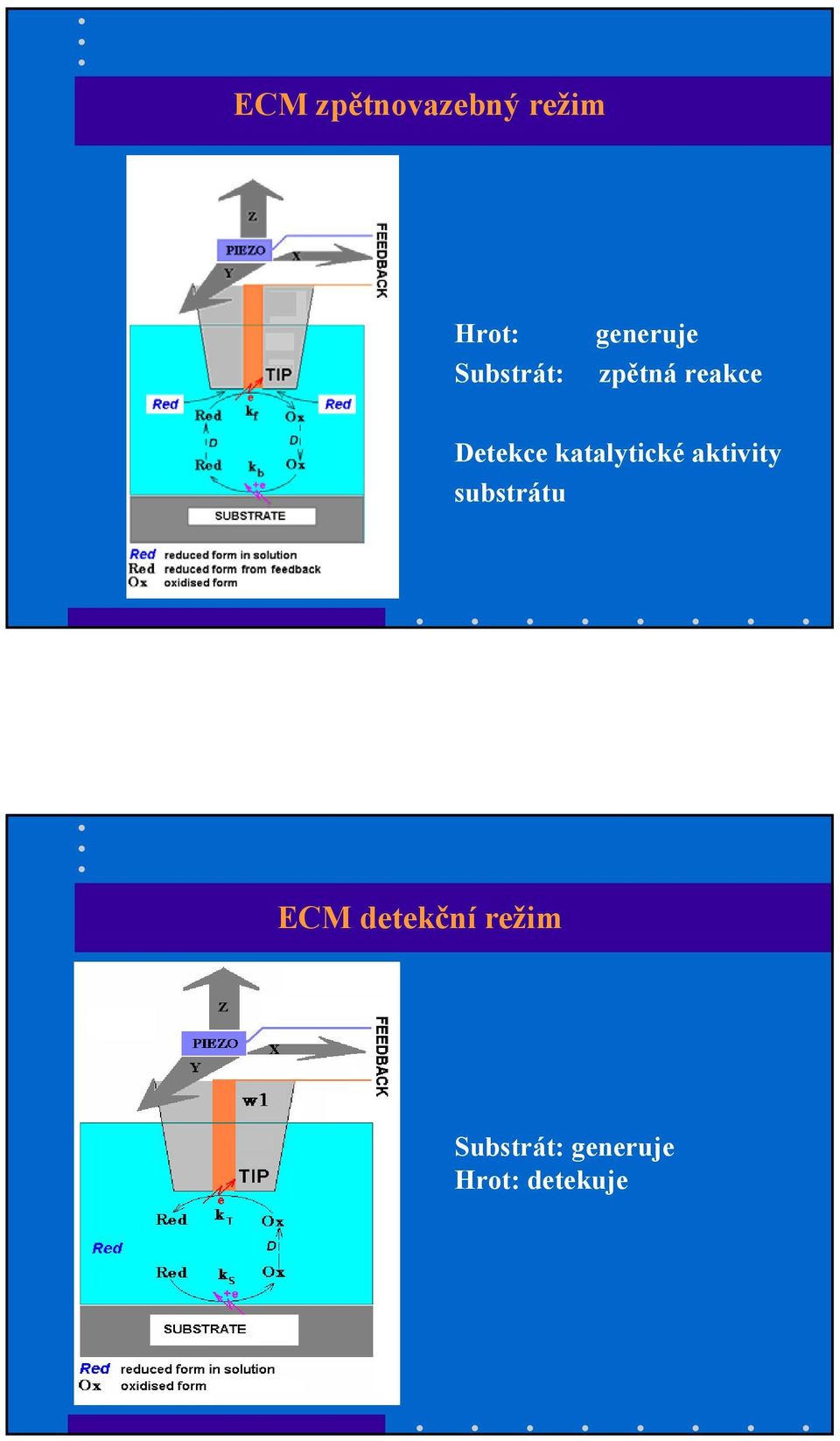 Detekce katalytické aktivity substrátu