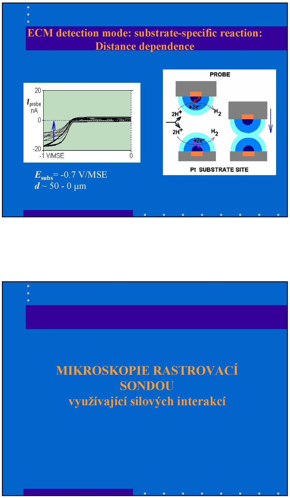 -0.7 V/MSE d ~ 50-0 µm MIKROSKOPIE