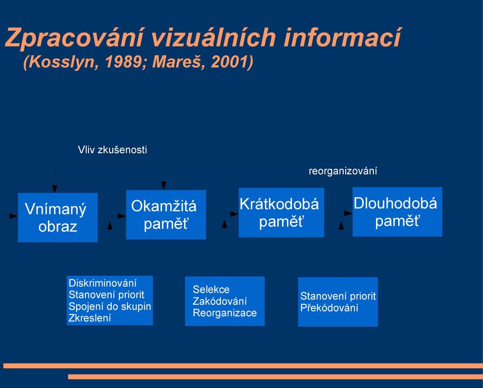 paměť Dlouhodobá paměť Diskriminování Stanovení priorit Spojení do