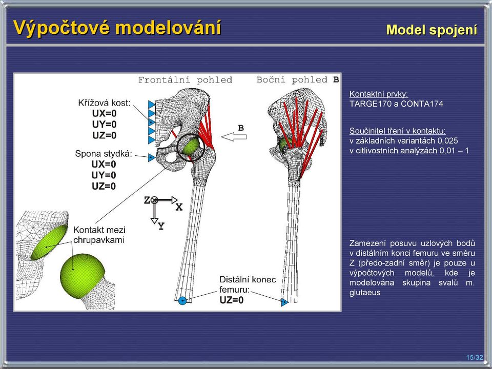 Zamezení posuvu uzlových bodů v distálním konci femuru ve směru Z (předo-zadní